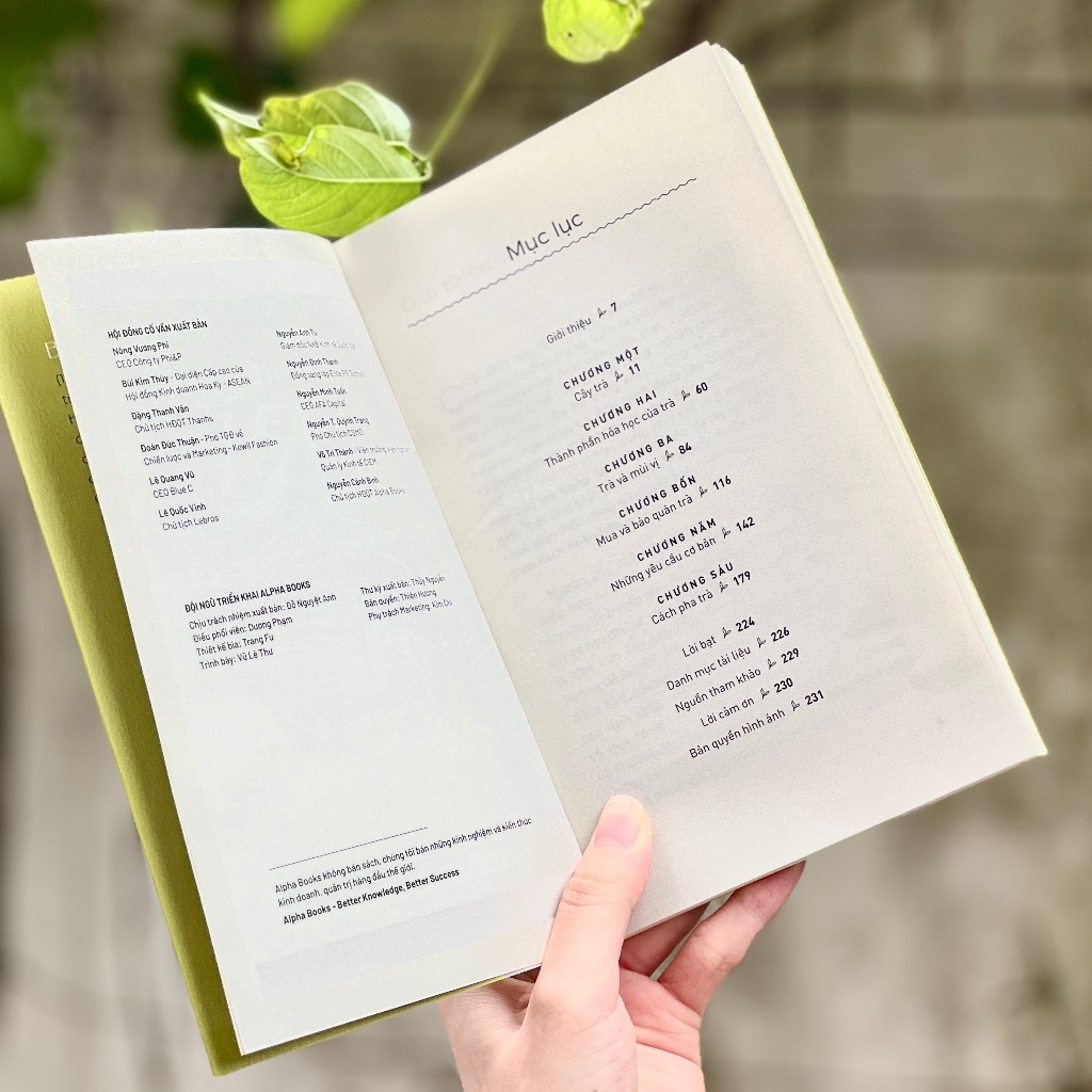 Sách - Hiểu Hết Về Trà - Alpha books