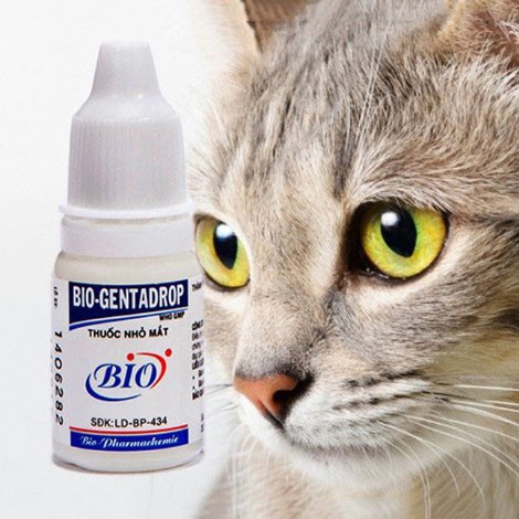 Nhỏ mắt cho chó mèo Bio Gentadrop 10ml