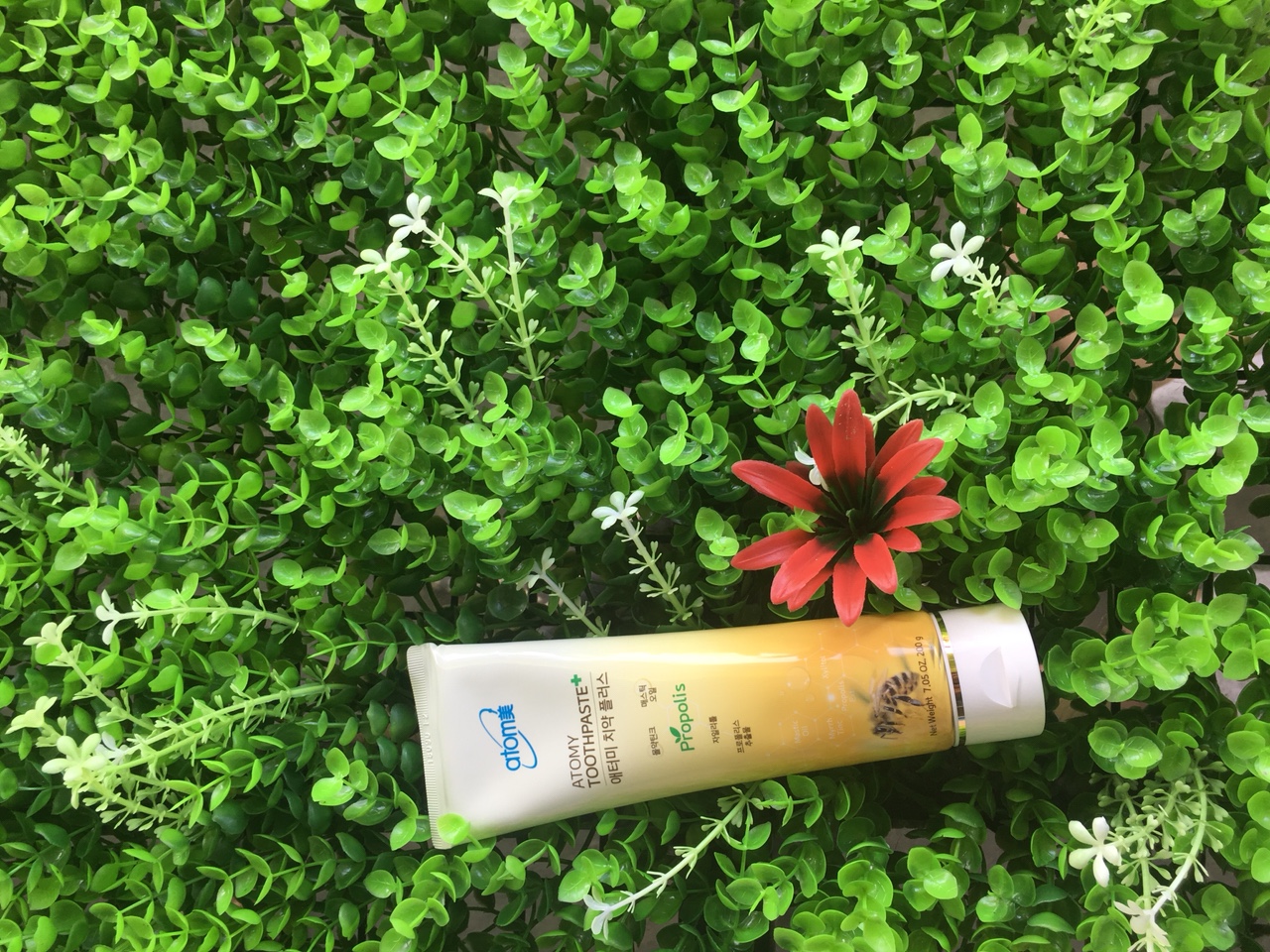 Kem đánh răng từ sáp ong Atomy Toothpaste