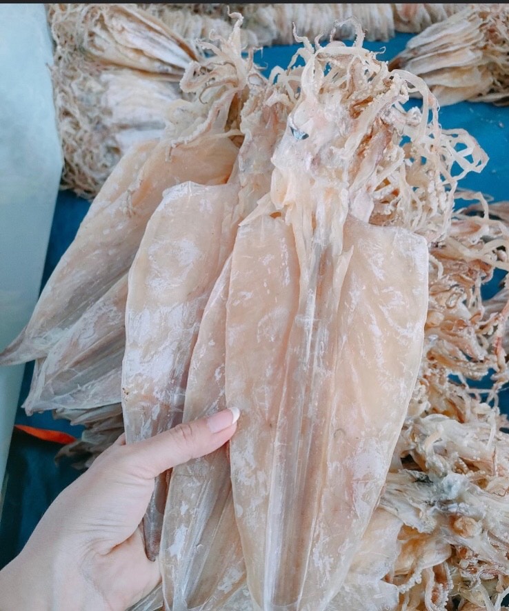 Túi 1kg/ 500gr/ 300gr/ 100gr mực khô loại ngon chất lượng đặc sản cà mau
