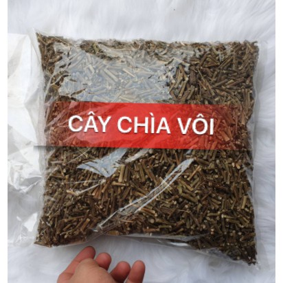 Cây chìa vôi khô