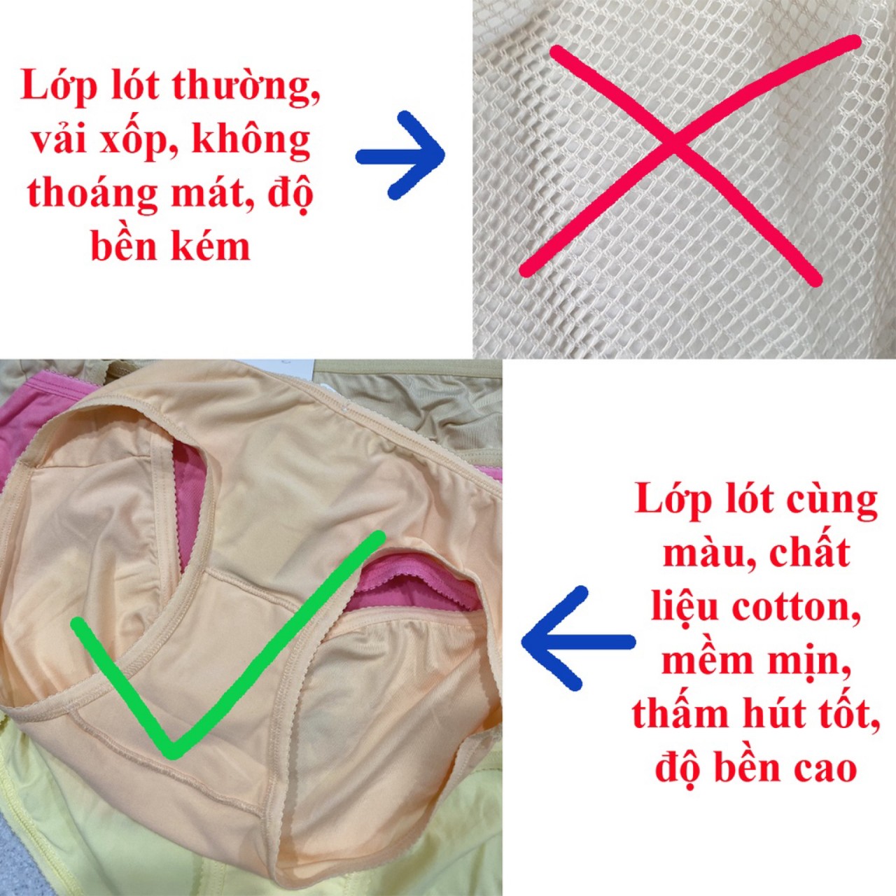 Combo 5 quần lót cotton thái co giãn 4 chiều