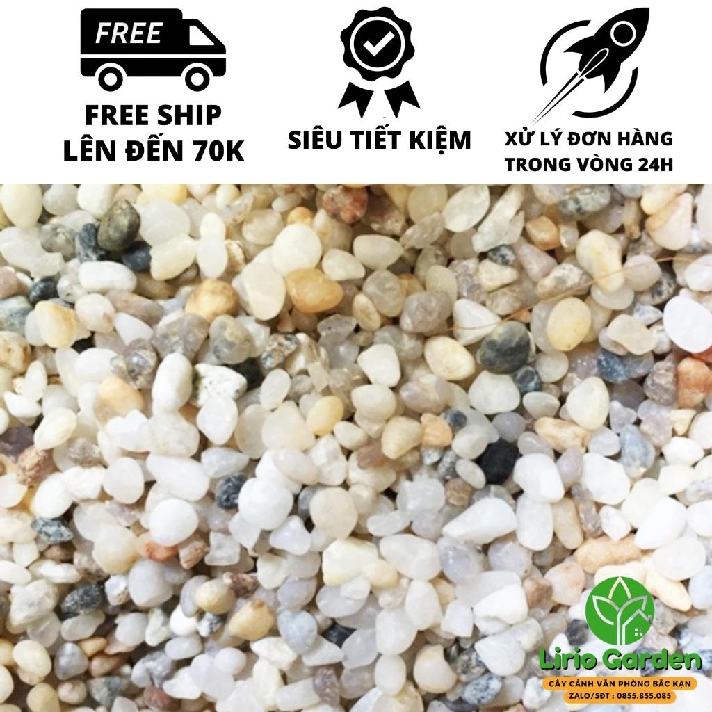 500g sỏi biển trang trí cây cảnh , hồ cá , bể thủy sinh