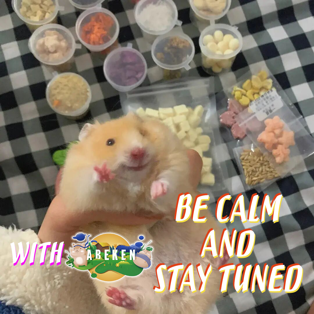 Ống bơm 3ml đút sữa, dung dịch cho Hamster