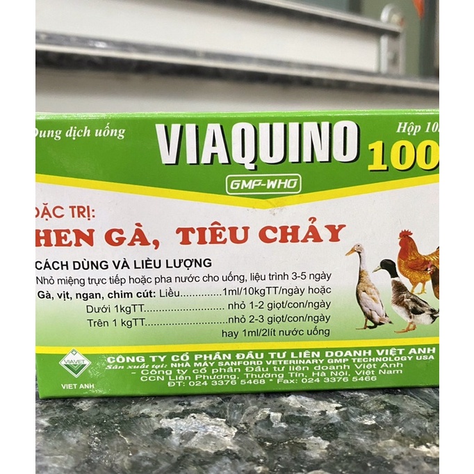 Gà Hen, tiêu chảy Viaquino 100