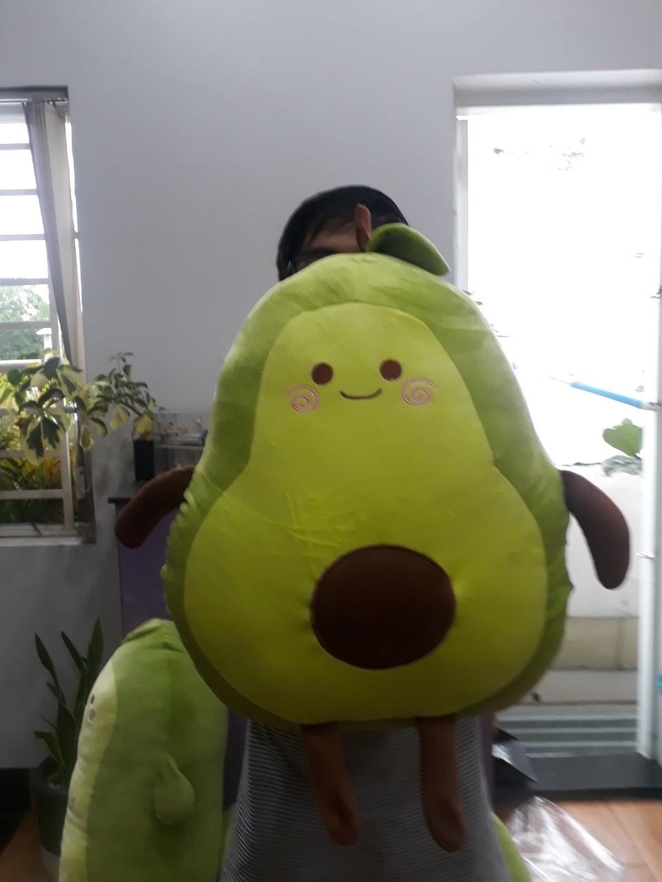 Gấu bông, gối ôm trái bơ