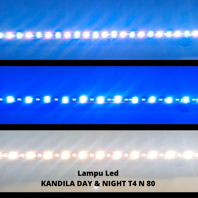 Lampu Led Celup Aquarium KANDILA DAY & NIGHT T4 N 80