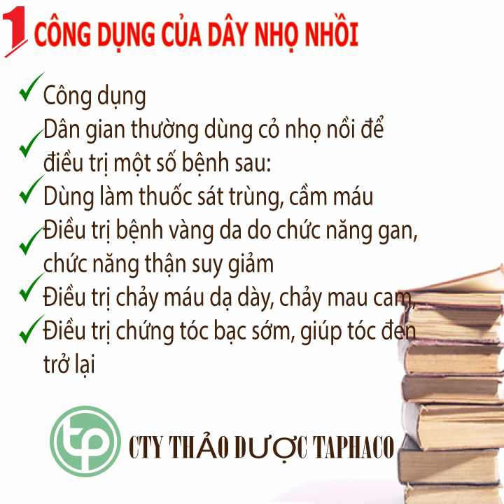 Cây cỏ mực khô 1kg - Tấn Phát