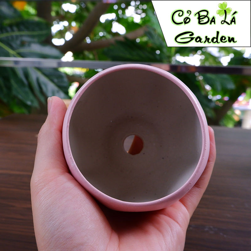chậu sứ bát tràng-hình bóng lõm