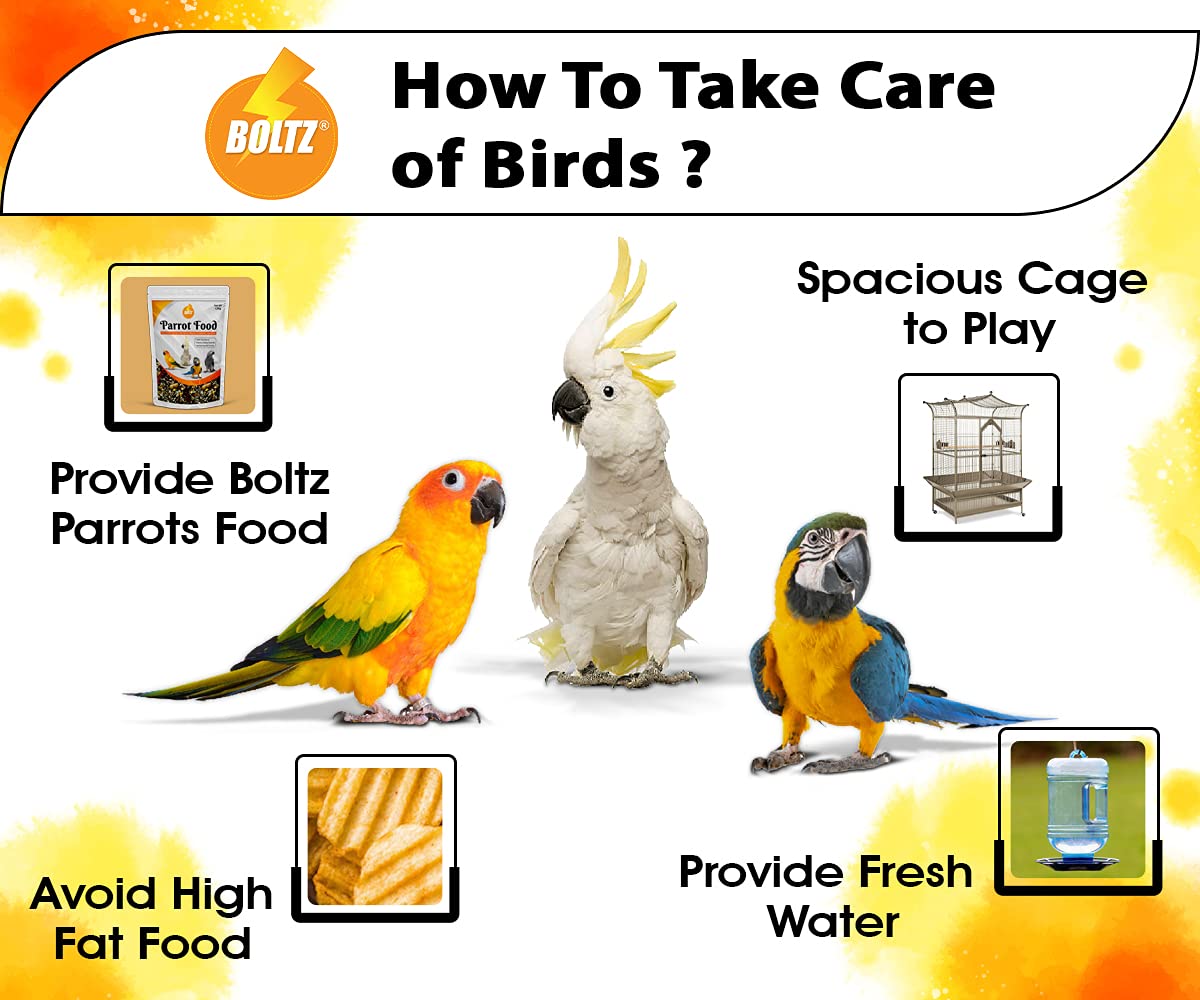 Boltz Parrot Food 1Kg for Big Parrot,African Grey Parrot,Sun Conure,Macaw,Lovebird and Alexander - All Life Stages Mix Seeds,1 Kg pack. 