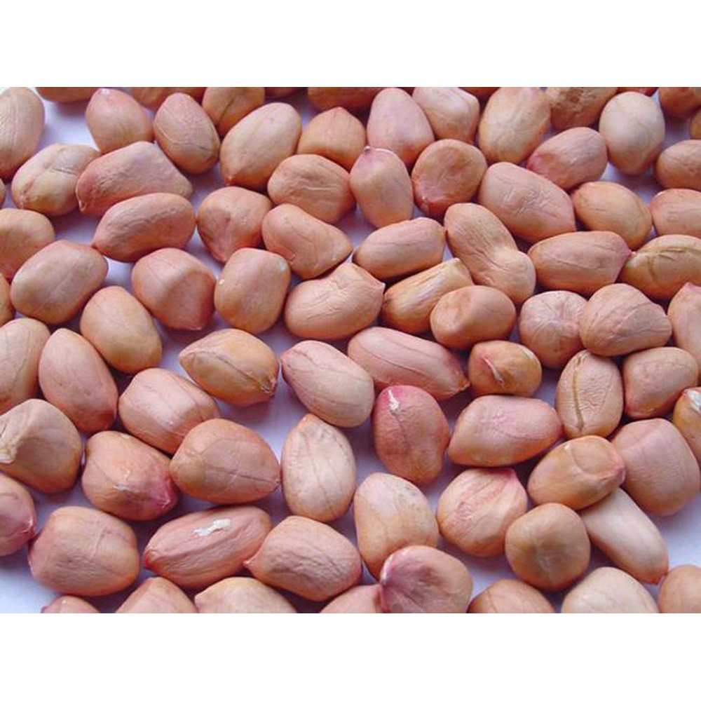 Lạc - Đậu Phộng Nhân Lạc Đỏ Tây Bắc 1Kg