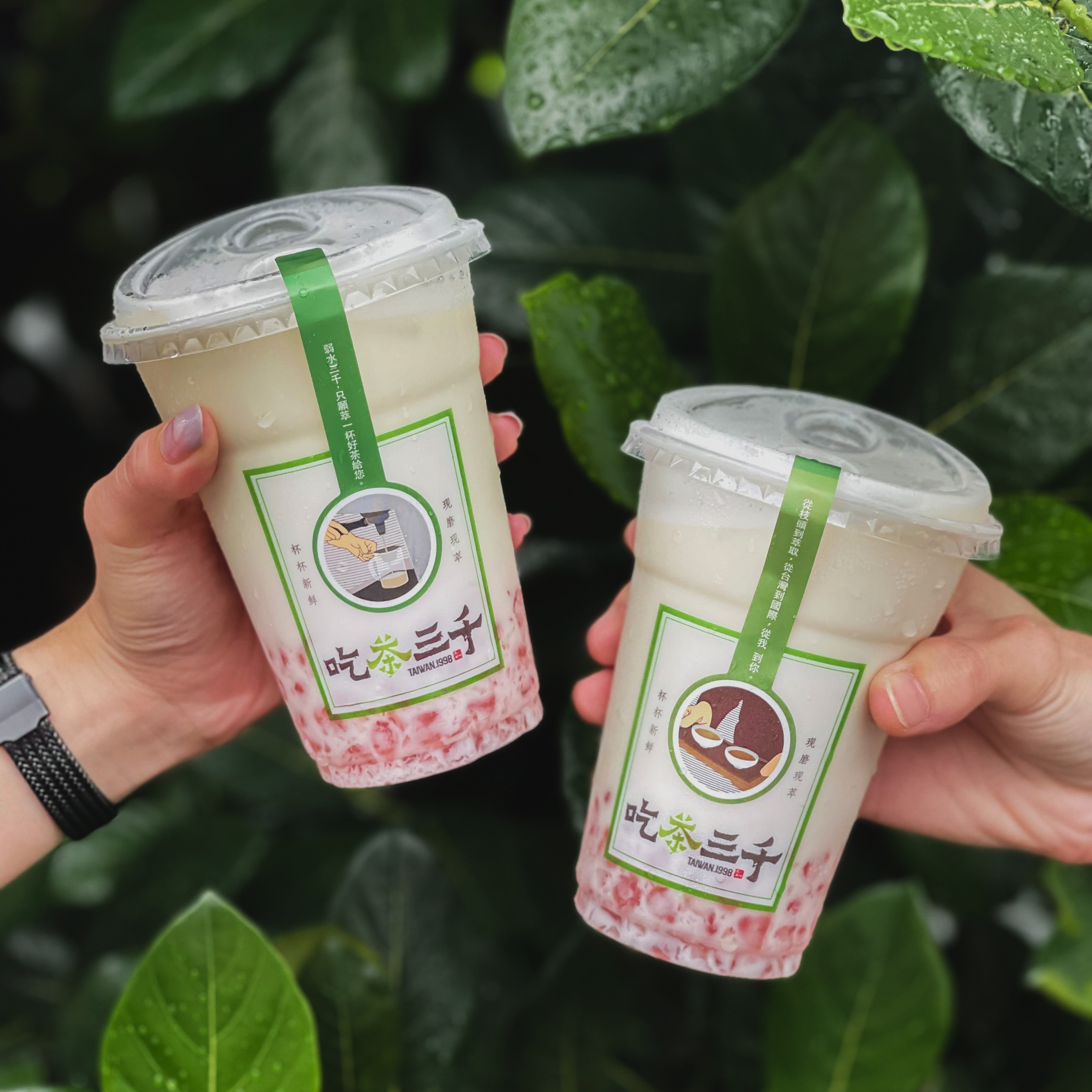 [CHICHA San Chen] 2 x Sakura Fresh Milk Tea [Redeeminstore] Lazada