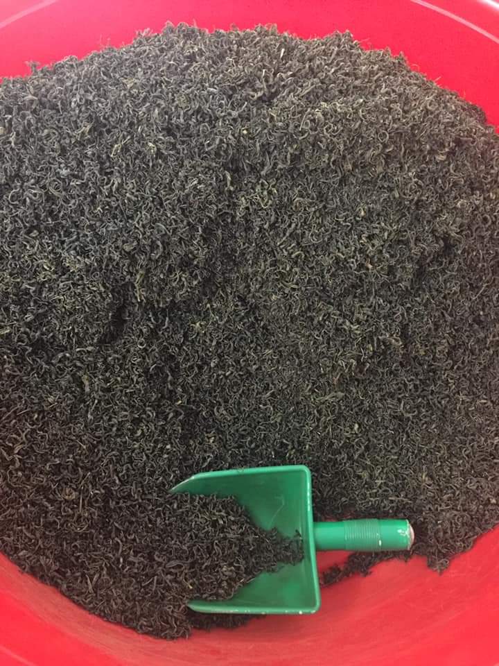 5kg Trà Cám Ngon