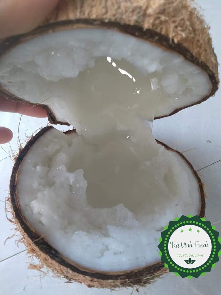 Dừa Sáp Cầu Kè Đặc Ruột 1.3kg
