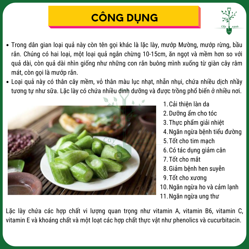 Hạt Giống Lặc Lày Mướp Nhật