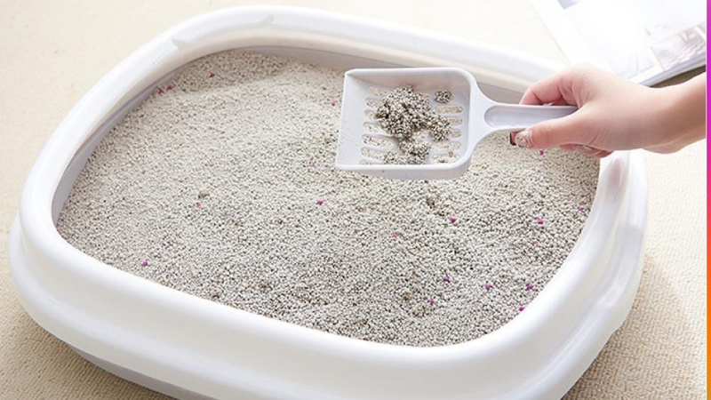 Cát vệ sinh cho mèo - Cát đậu nành thân thiện với môi trường | Lazada.vn