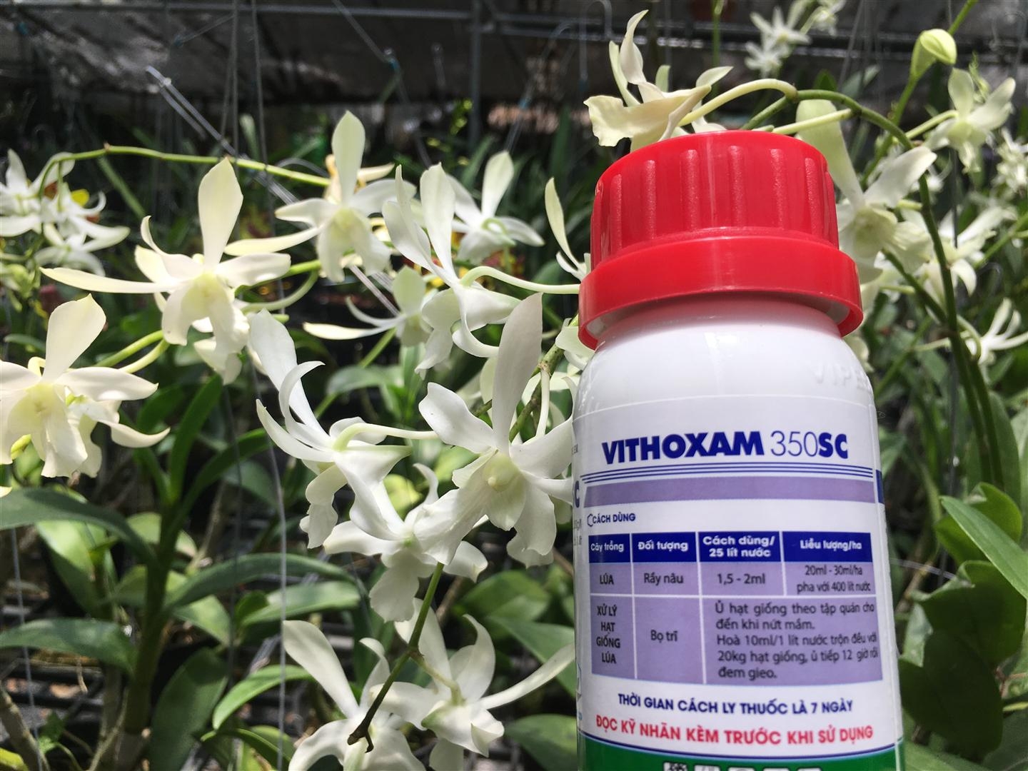 Thuốc trừ rầy VITHOXAM 350SC (MSP122570) -Mai Huy