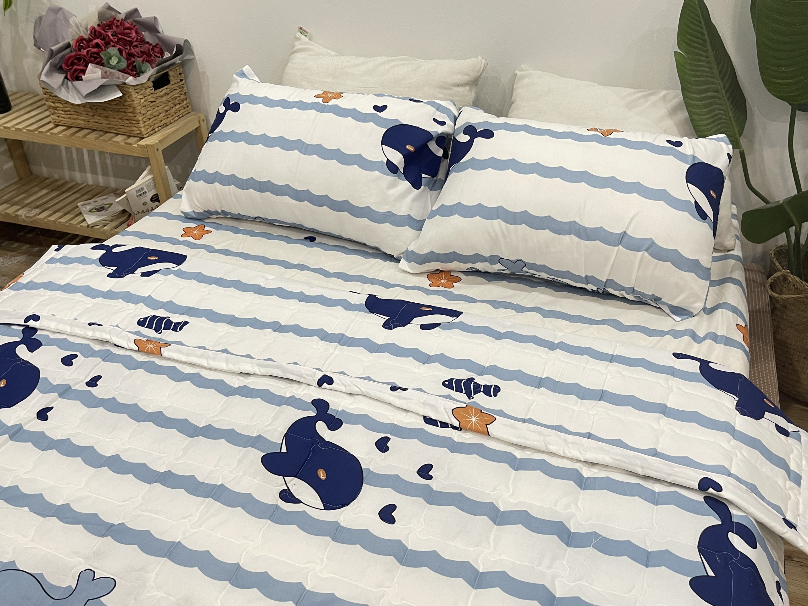 Set Ga Gối Mẫu Cá Heo Kẻ Xanh P67 ( Gồm 1 ga bo chun, 2 vỏ gối nằm, 1 vỏ ôm )