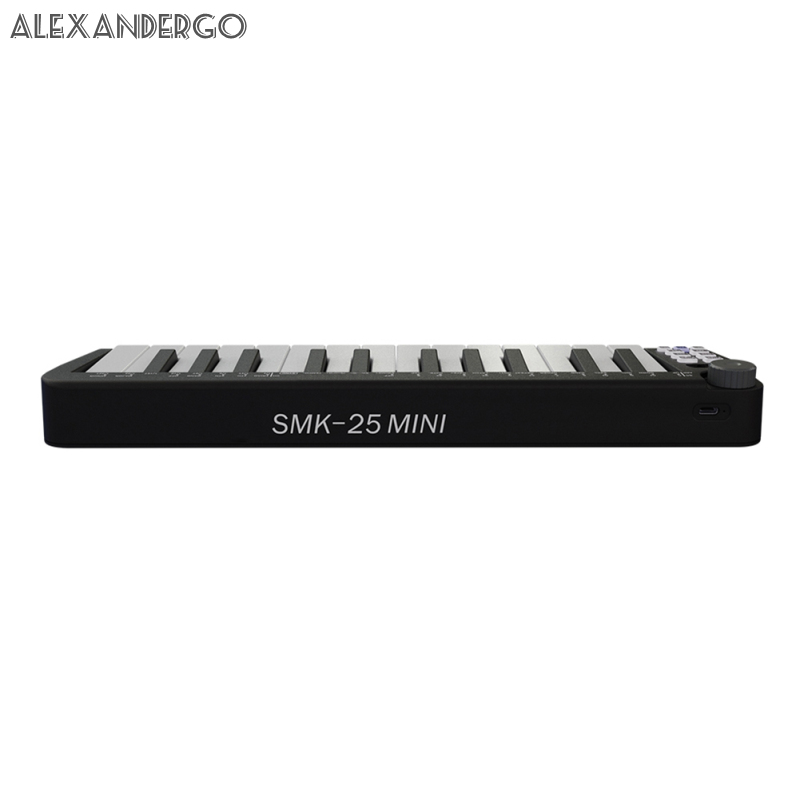PRO 25 Key USB MIDI Keyboard Controller Mini Portable Keyboard MIDI Controller With Smart Chord Scale Modes Arpeggiator for Music Production