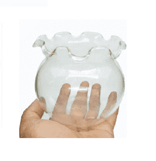 Chậu thủy tinh miệng bèo đủ size - Chậu Thuỷ Tinh Nuôi Cá, Trồng Cây Mini