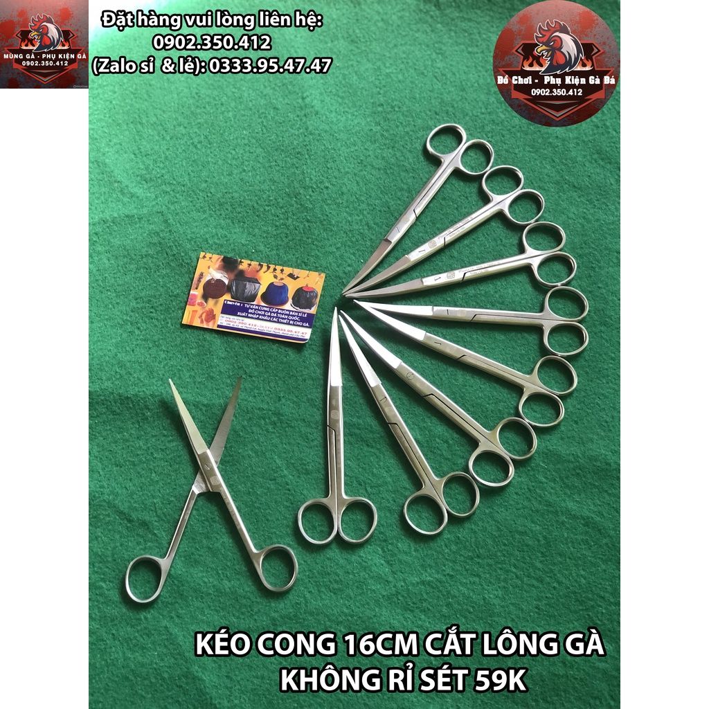 Kéo cong 16cm cắt lông gà - cắt tích gà - inox không rỉ sét