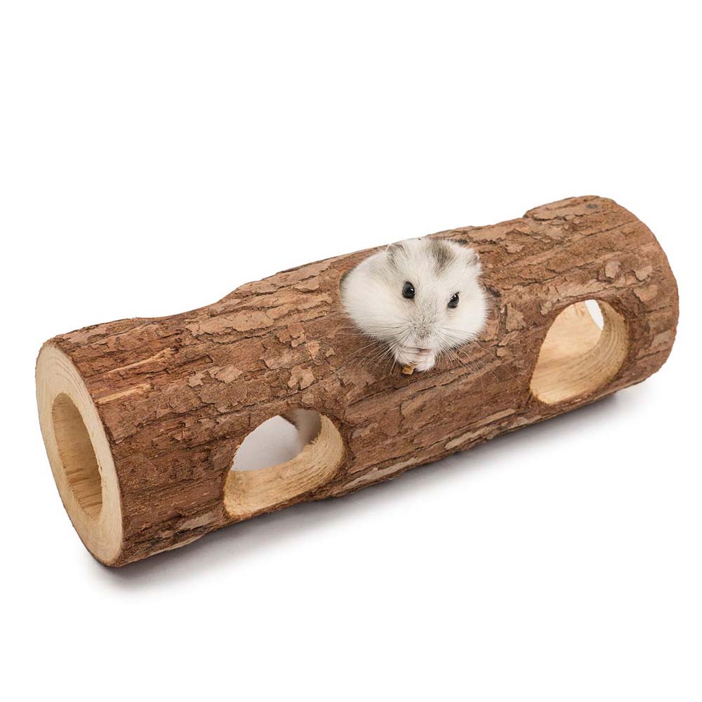 interactive guinea pig toy