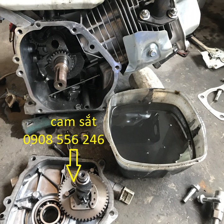 Máy nổ Yokoham 6,5 hp cốt xéo cam sắt