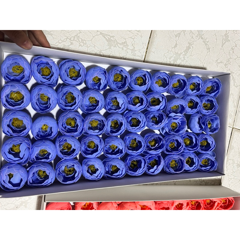 HOA SÁP MAO LƯƠNG”hoa trà”( hộp 50 bông)