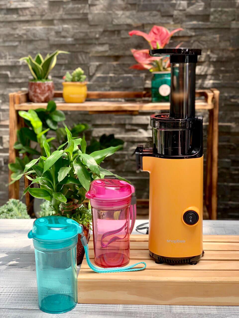 Máy ép chậm hoa quả Snapbee mini (sỉ ib)