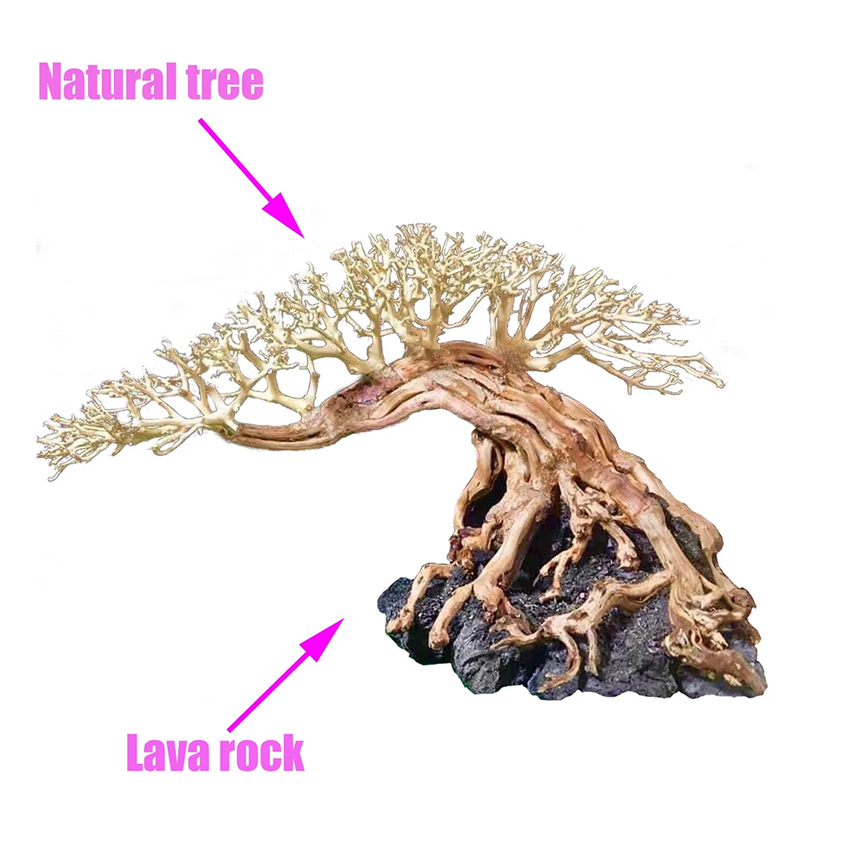 Lũa bonsai thủy sinh trang trí bể cá cây lũa hồ cá thủy sinh bonsai gỗ lũa thủy sinh