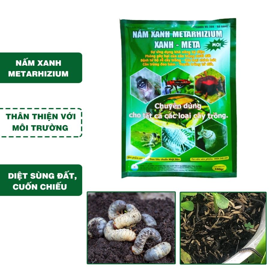 Chế Phẩm Sinh Học Nấm Xanh Metarhizium Trừ Sùng Đất, Cuốn Chiếu, Rầy Rệp Gói 100 Gram