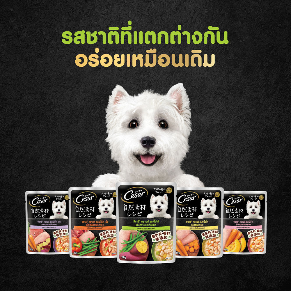 ส่งฟรี ขายดี] CESAR อาหารเปียกสุนัข วัตถุดิบจากธรรมชาติ - ซองละ 60 กรัม  (เลือกรสชาติได้) (แพ็ก 16 ซอง) | Lazada.co.th