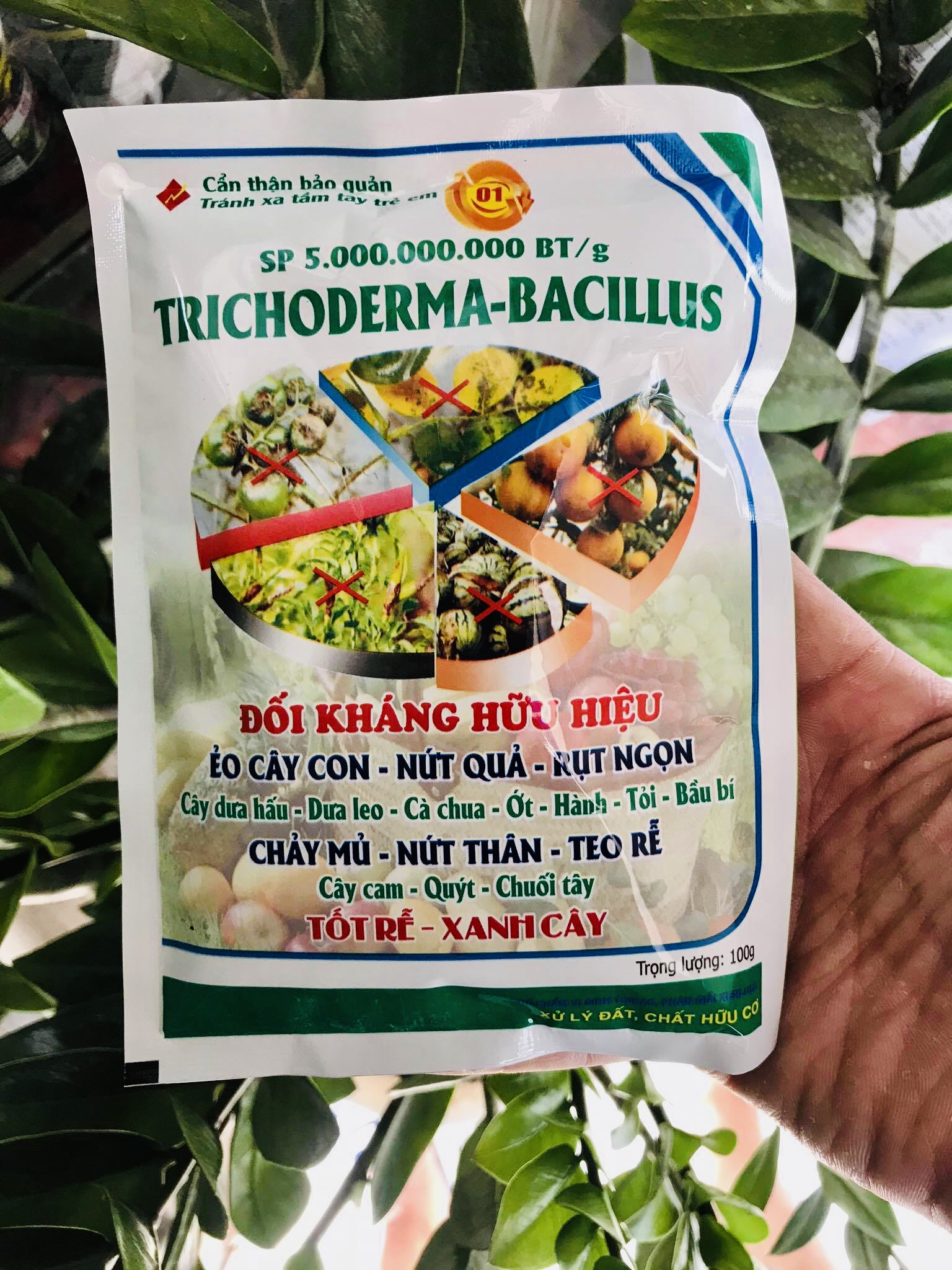 Men vi sinh EM nấm tricho - chế phẩm ủ phân trichoderma bacillus 100Gram