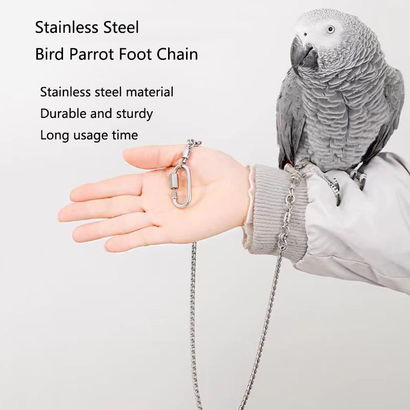 Bird Chain 【HOT】 Stainless Steel Bird foot Chain Parrot Anti-flying Traction Rope ...