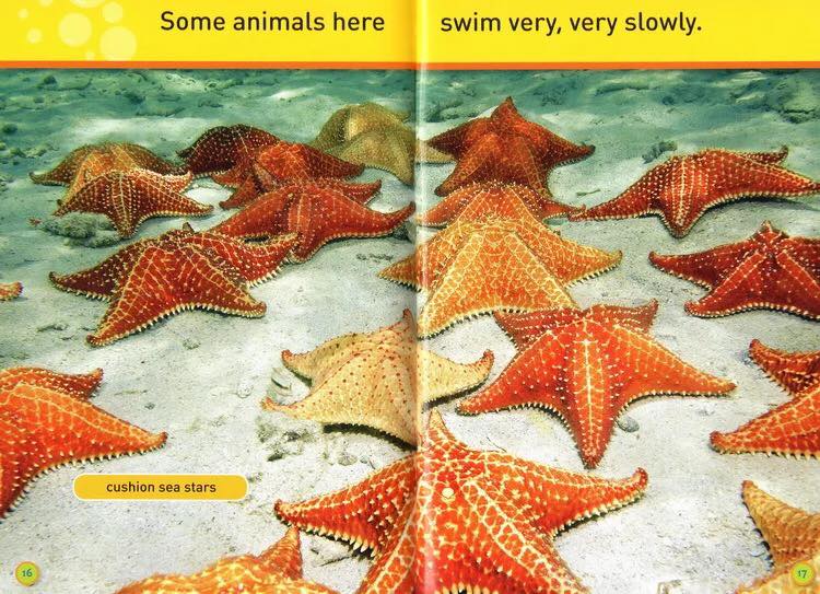 National Geographic Kids level Pre-reader 20 quyển