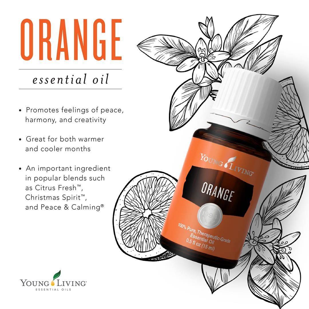 100% Original Young Living ORANGE Pure Essential Oil Blend 15ml