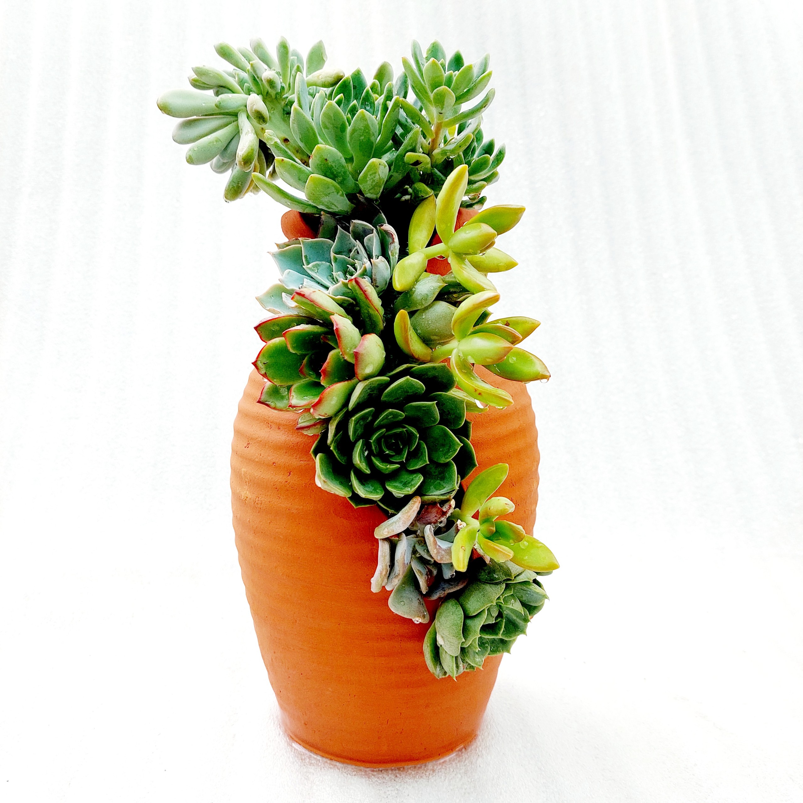 Chậu đất nung - Bình hoa 925, miệng chậu 9cm, chiều cao 25cm
