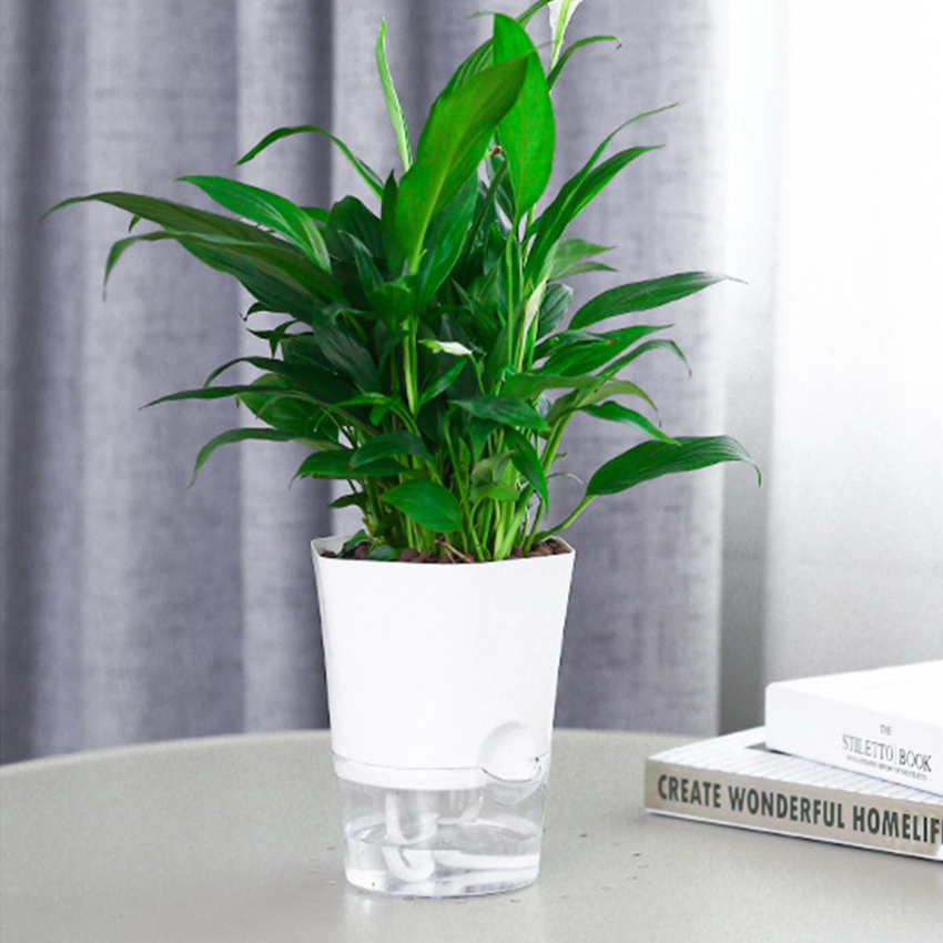 Hydroponic Flowerpot Water Container Automatic Watering Hydroponic Plant Pot Home Automatic Water Absorption Creative Office