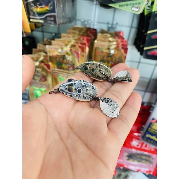 nhái hơi   E-mo