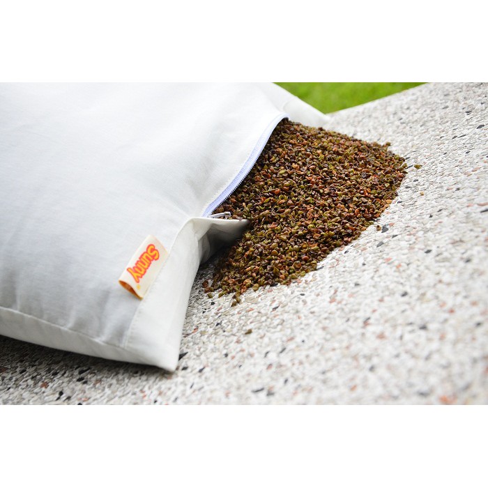CODRuột gối nằm vỏ đậu xanh Sunny