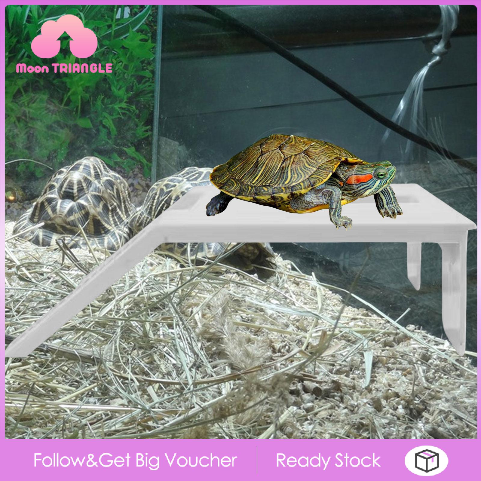 Moon TRIANGLE Turtle Resting Basking Platform Climbing Shelf for Frog Tortoises Amphibians