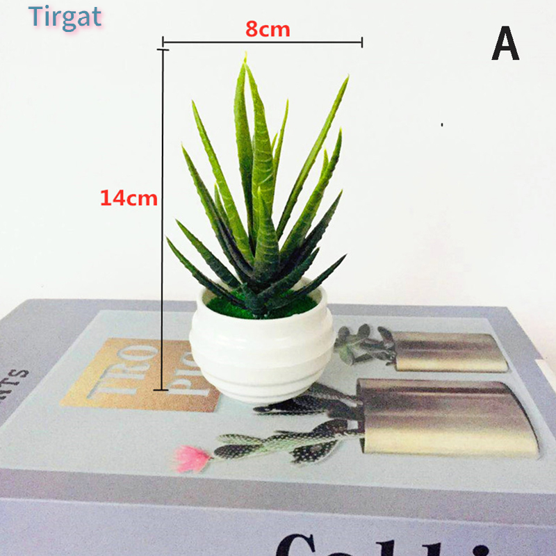 💖Tirgat Cây Cảnh Nhân Tạo Mini Chậu cây mô phỏng nhỏ đồ trang trí bàn văn phòng