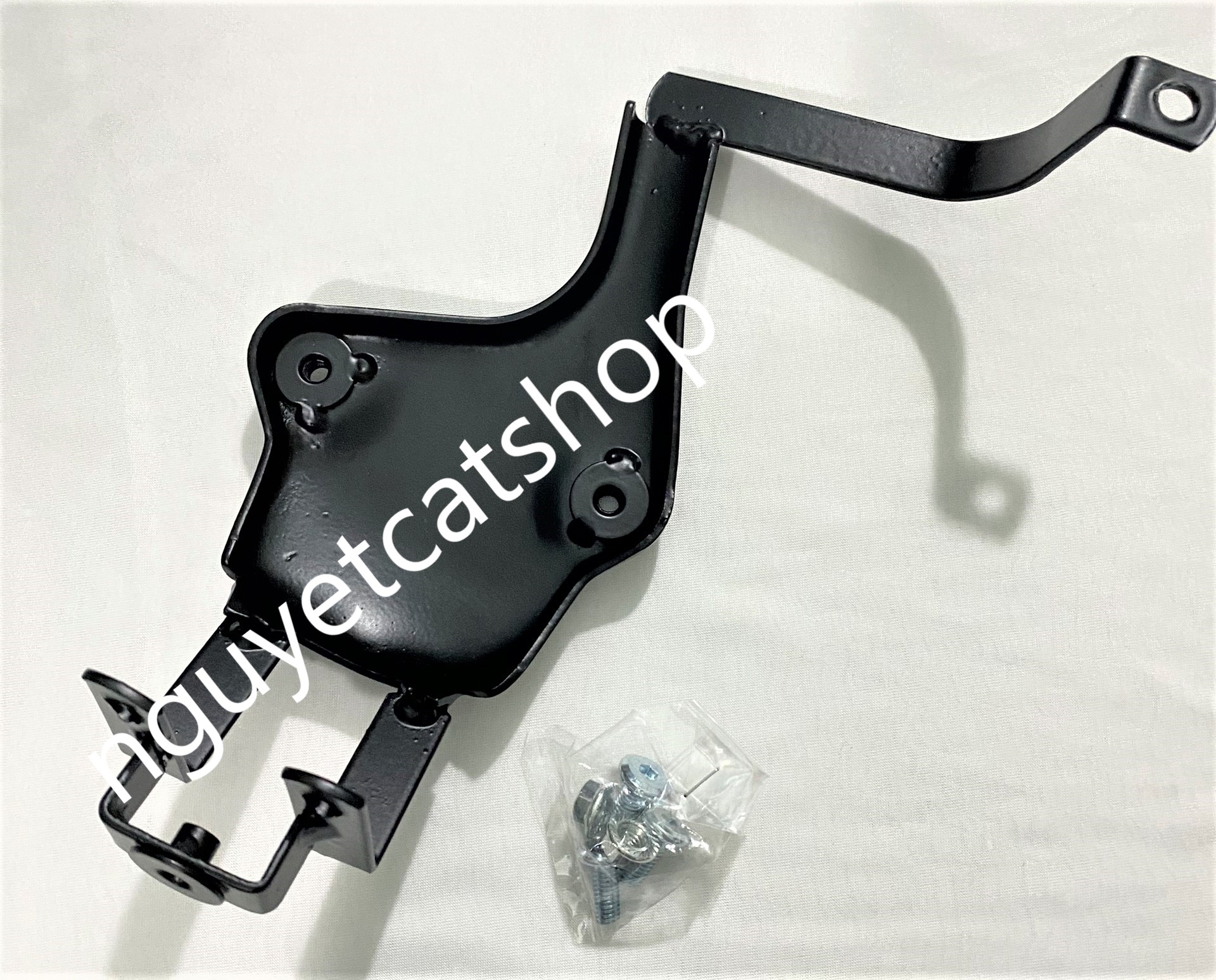 Pas bắt rổ Future