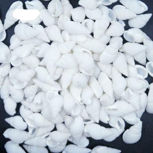 [HCM]50 vỏ ốc mini trắng trang trí.