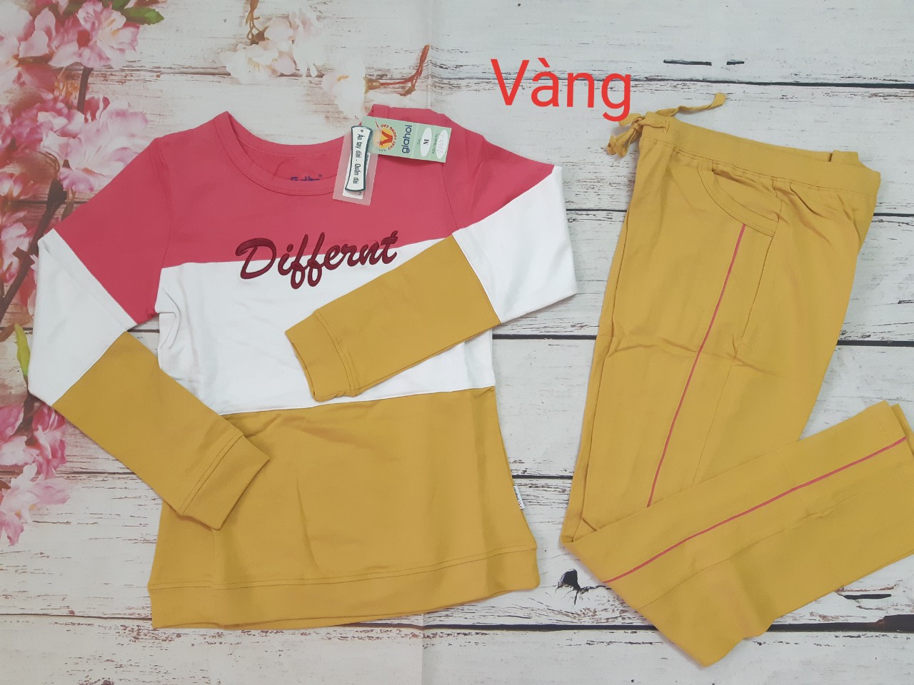 Xả bộ mặc nhà, đồ bộ, bộ thu đông gia hồi màu khác biệt