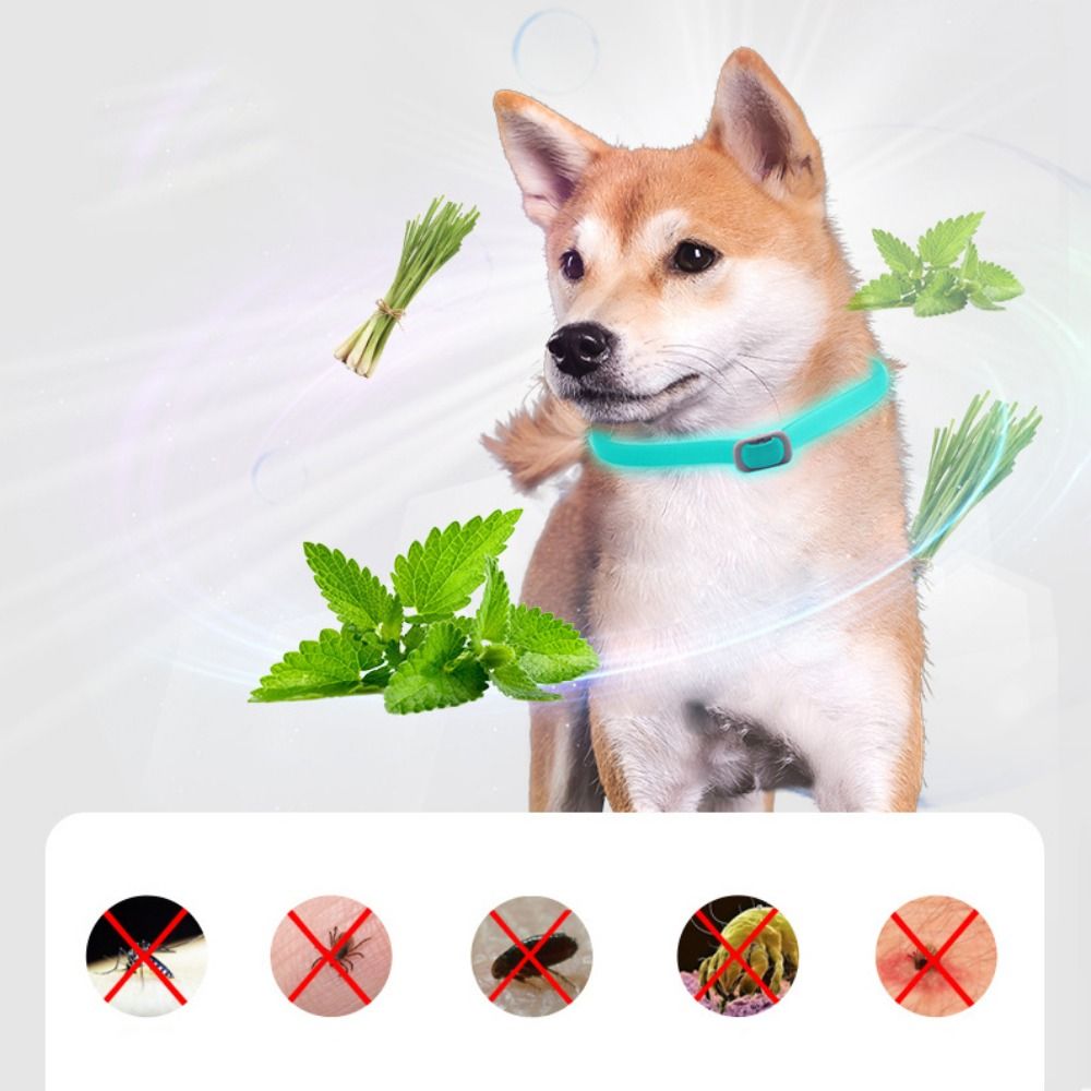 Pet%20Anti-parasitic%20Collar%20Reflective%20Luminous%20Pet%20Flea%20Tick%20Collar%20Anti-lost%20Water%20Resistant%20Cat%20Flea%20Tick%20Collar%20Soft%20Silicone%20Pet%20Collar%20Puppy%20-%20Image%205