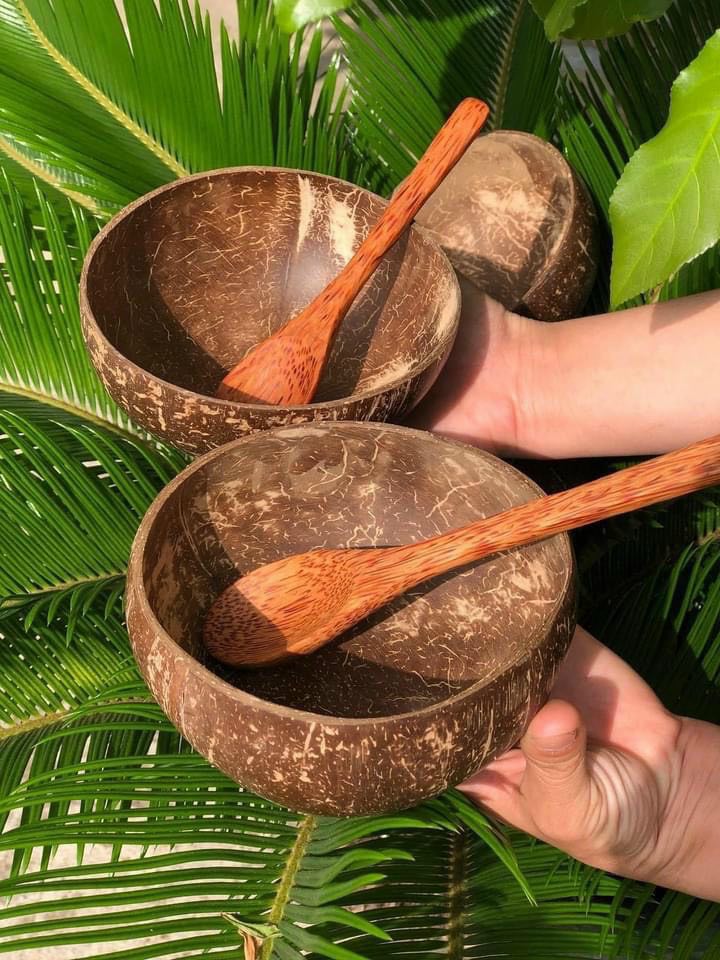 [Combo] - Chén / Bát gáo dừa + Muỗng gỗ dừa chuẩn Bến Tre