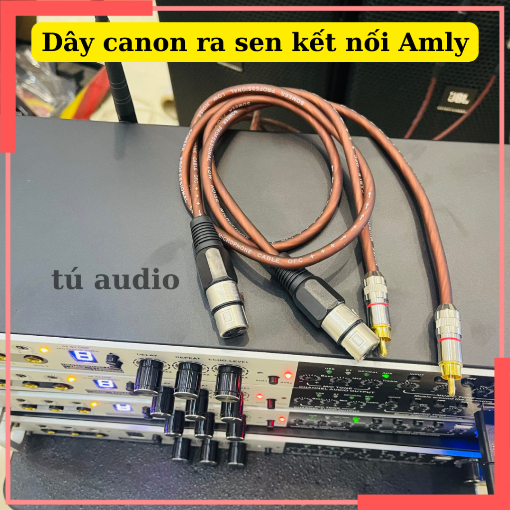 Dây canon và dây canon ra hoa sen (1 sợi)