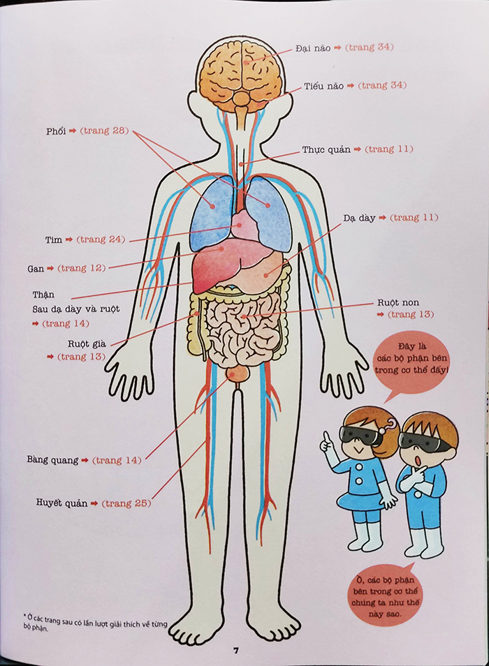 Sách thiếu nhi - Khám phá bí ẩn cơ thể người