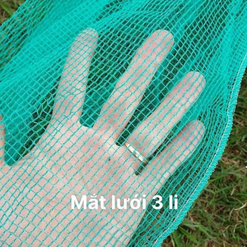 Dớn Bắt Cá, Ốc, Lươn